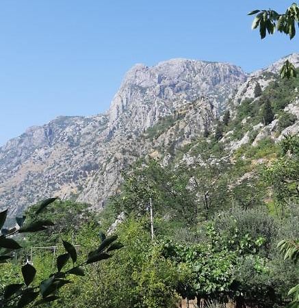 Apartment Sali Kotor Exterior photo